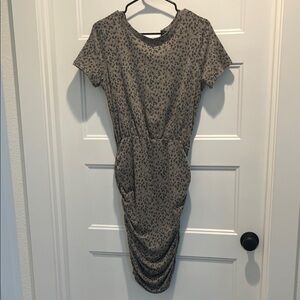 Fall Leopard Print Gray Dress